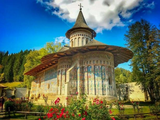 Bucovina Travel