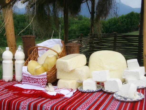 Stana turistica Magura