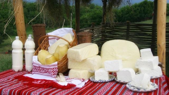 Stana turistica Magura