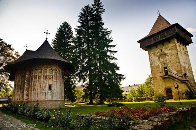 Bucovina Travel