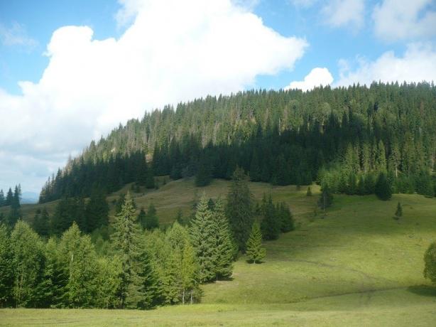 Stana turistica Magura