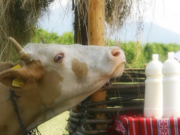 Stana turistica Magura